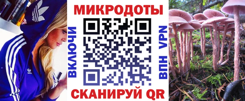 хочу наркоту  Красный Холм  Псилоцибиновые грибы Cubensis 